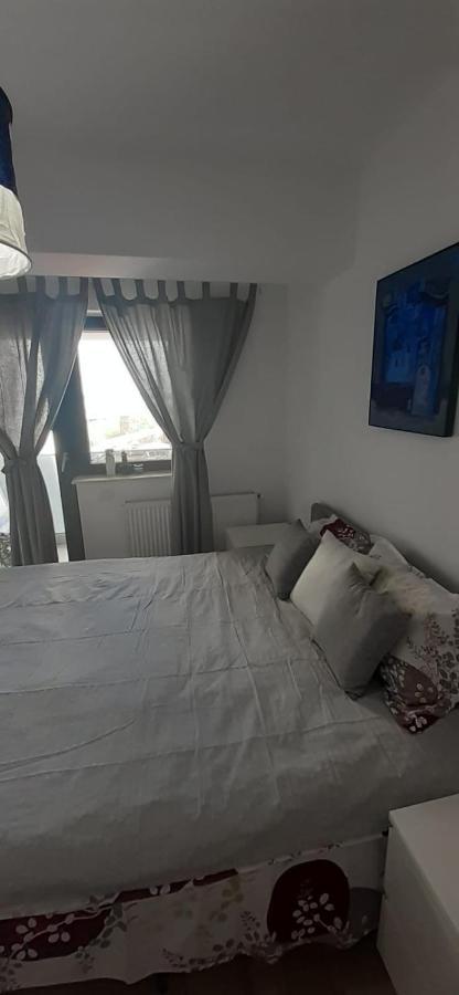 Apartament Central. Bloc Nou. Bacău Exterior foto